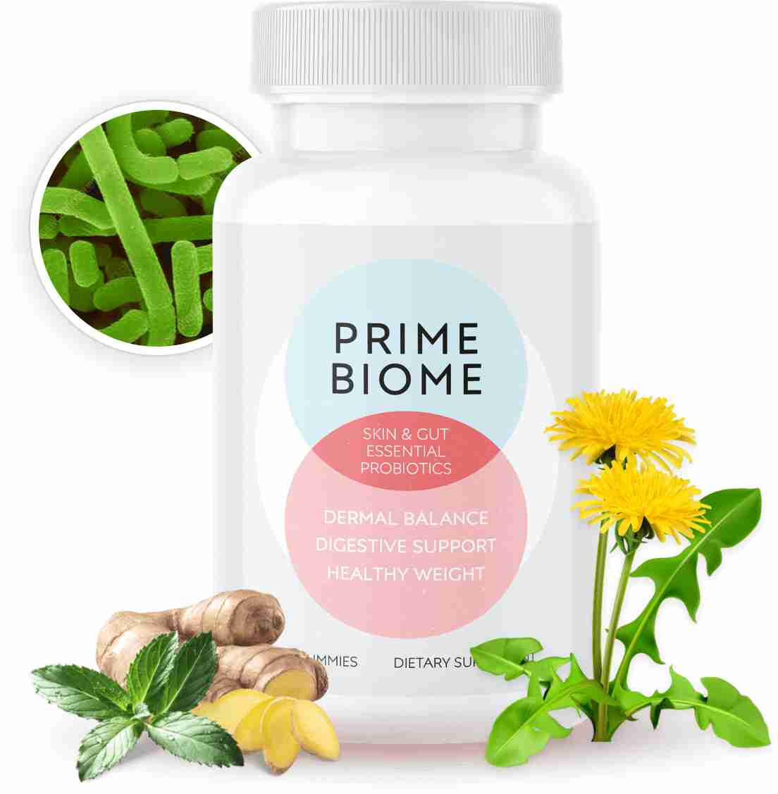 primebiome supplement